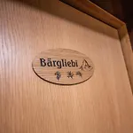 Bergliebe -neu & Modern Inspiring Places ツェルマット