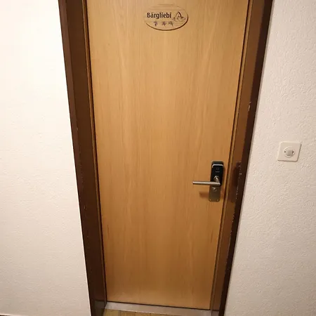 Bergliebe -neu&modern Inspiring Places Apartment Zermatt